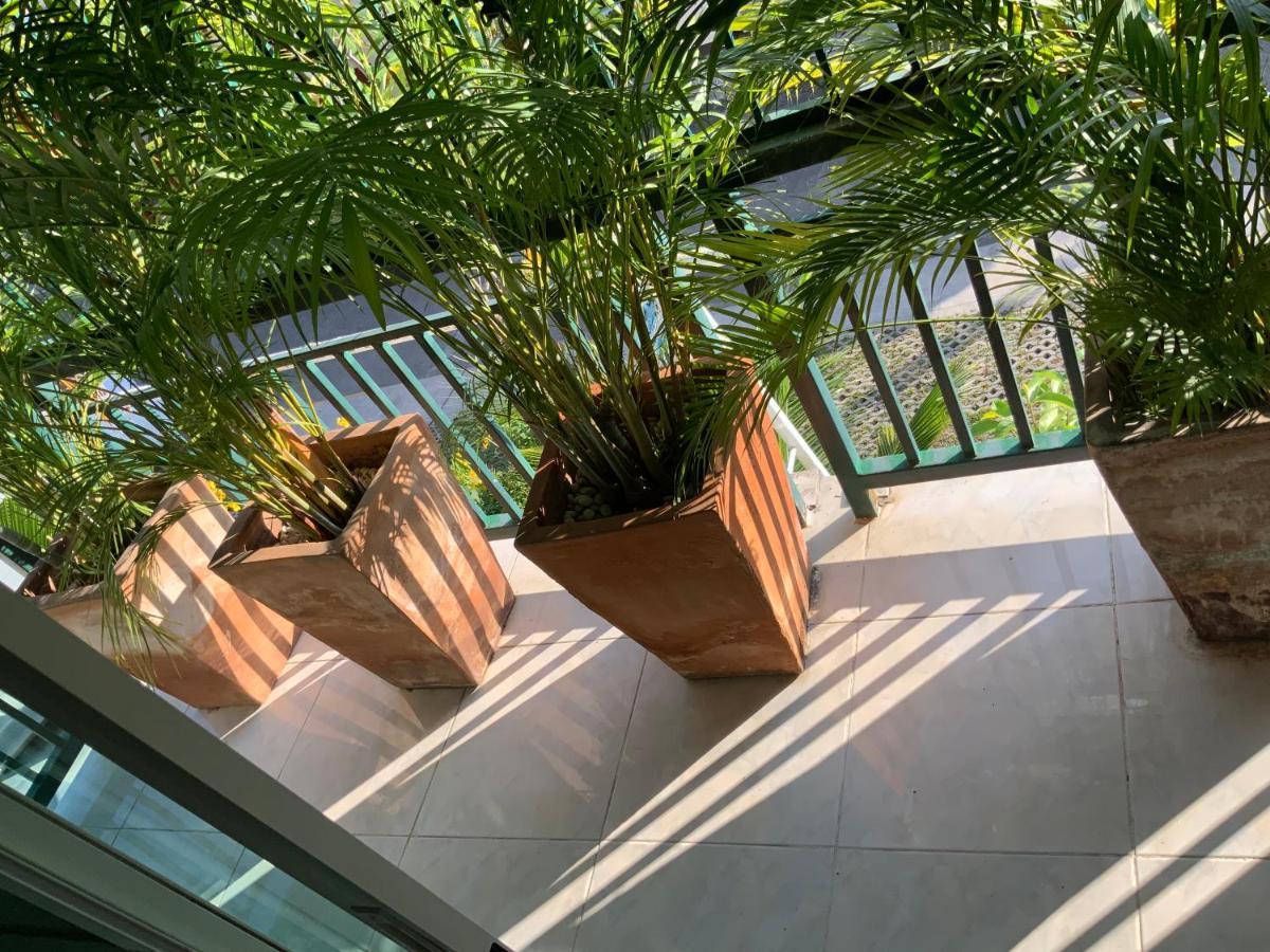Lemon Guesthouse Чиангмай Екстериор снимка